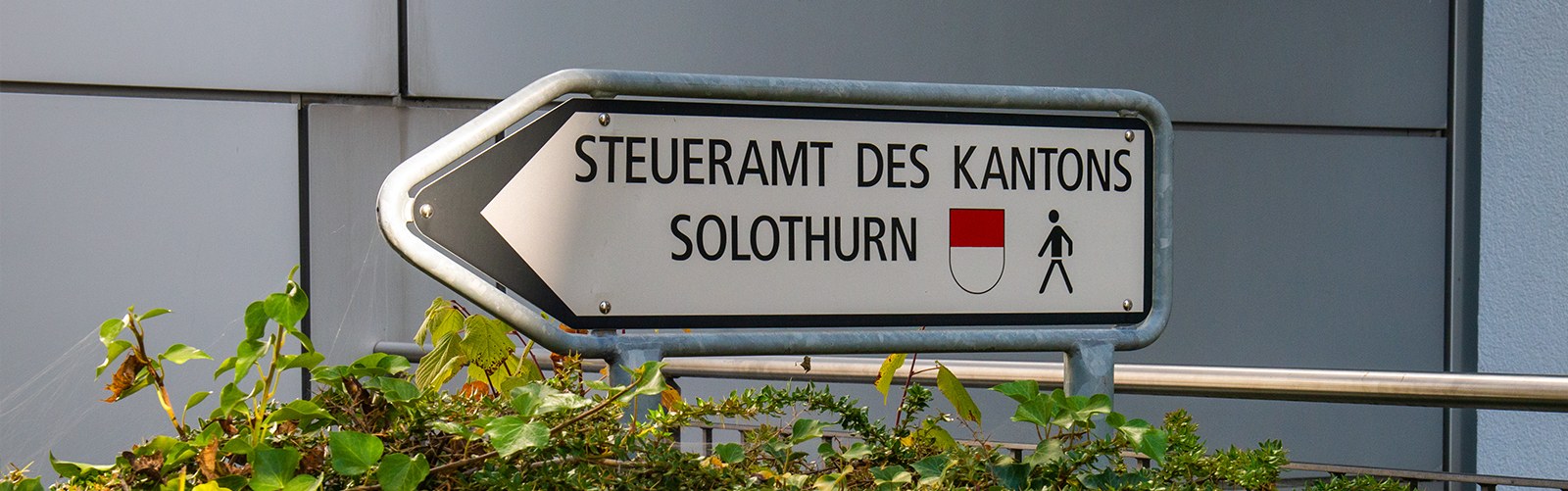 Steueramt Kanton Solothurn - Wegweiser